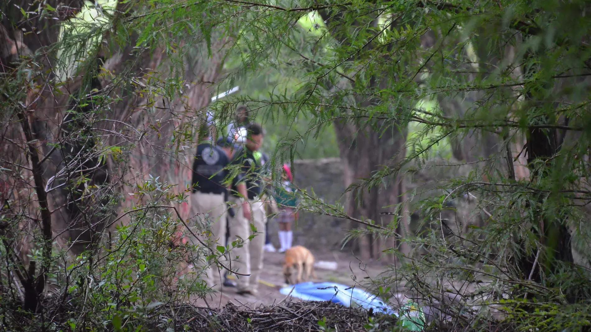 11 SEPT. Trágica muerte encontró